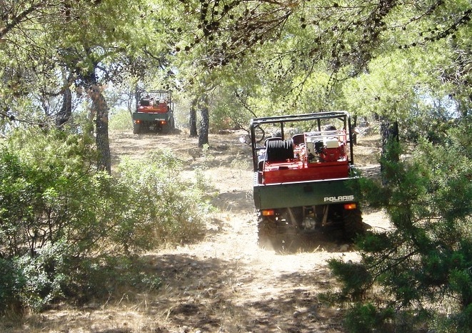 ATVs crusing through the forest in Greece